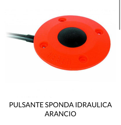 PULSANTE SPONDA AUTOCARRO