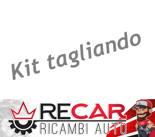 KIT0006REC KIT TAGLIANDO PANDA II 1.3 JTD MULTIJET